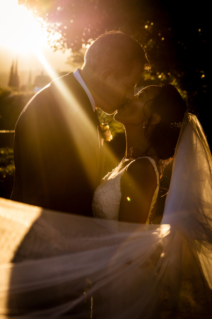 Golden hour at Cortijo Bravo
